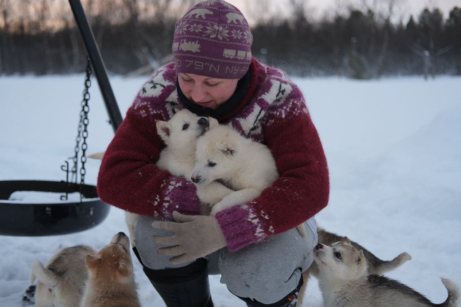 Warm lodge stay in Finnmark